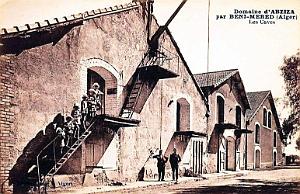 BENI-MERED - DOMAINE D'ABZIZA - CAVES